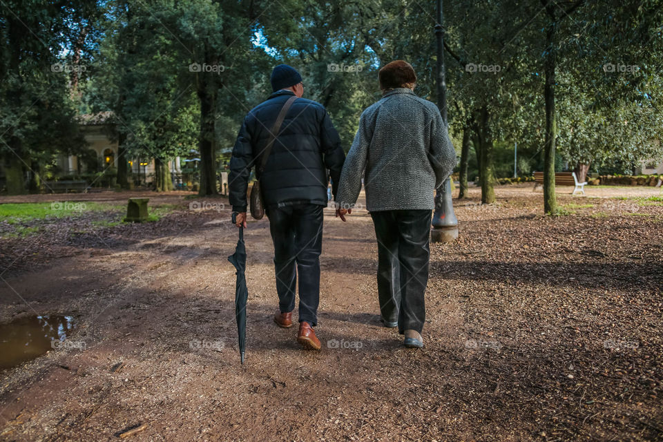 Rear view of a senior couplewalking in park with  holding hand 