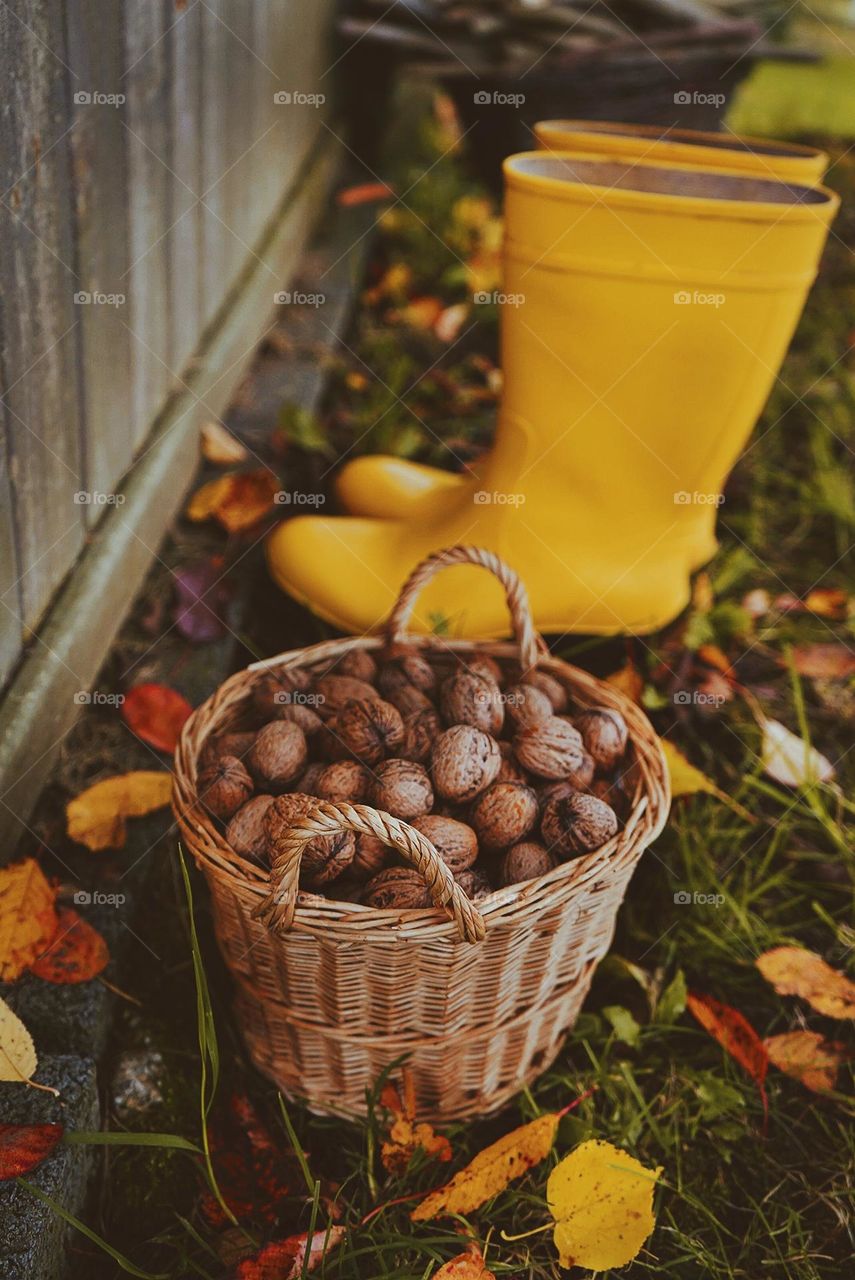 octobers fruits