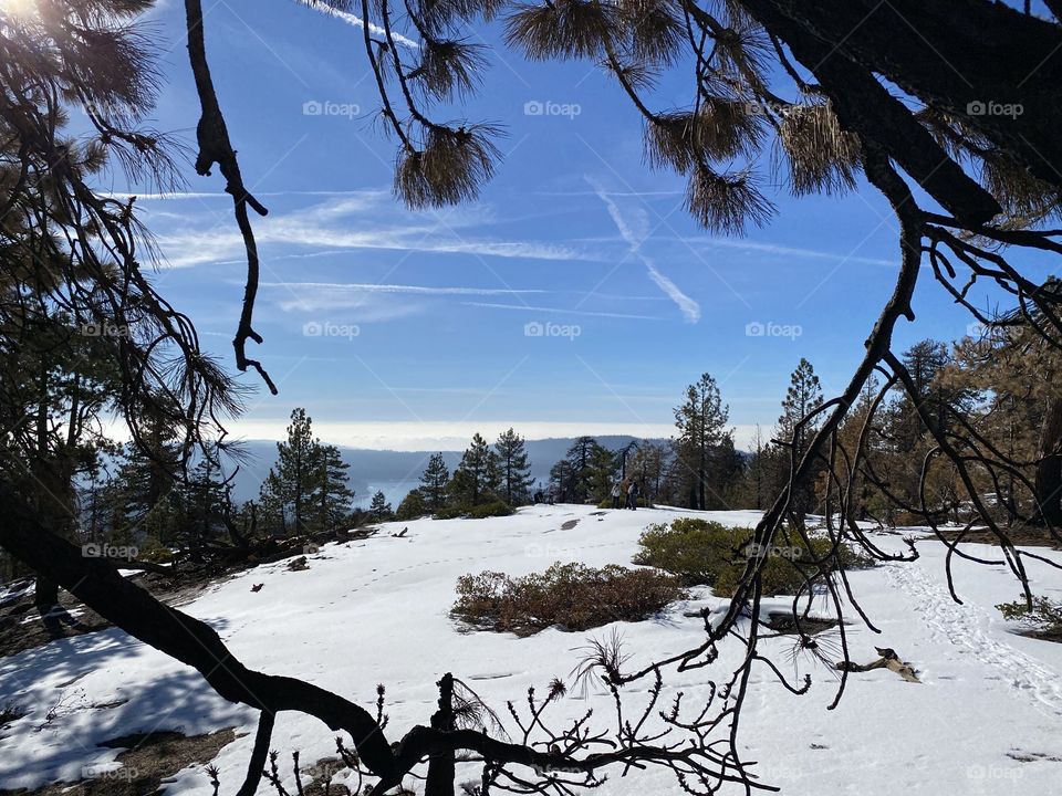 Shaver Lake