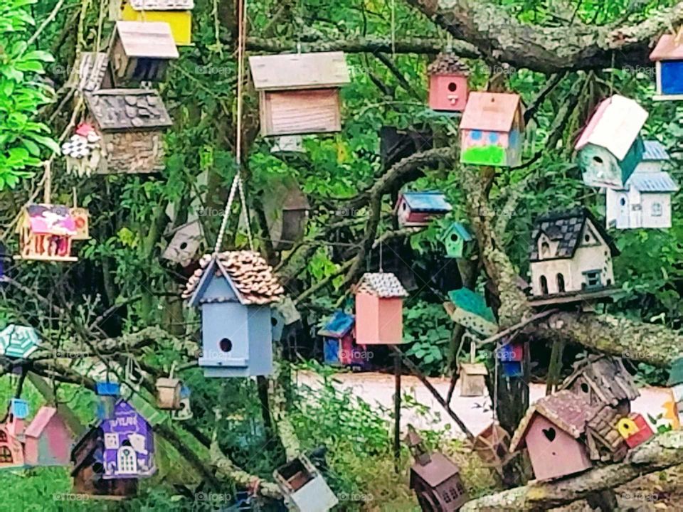 Luxurious Bird Houses