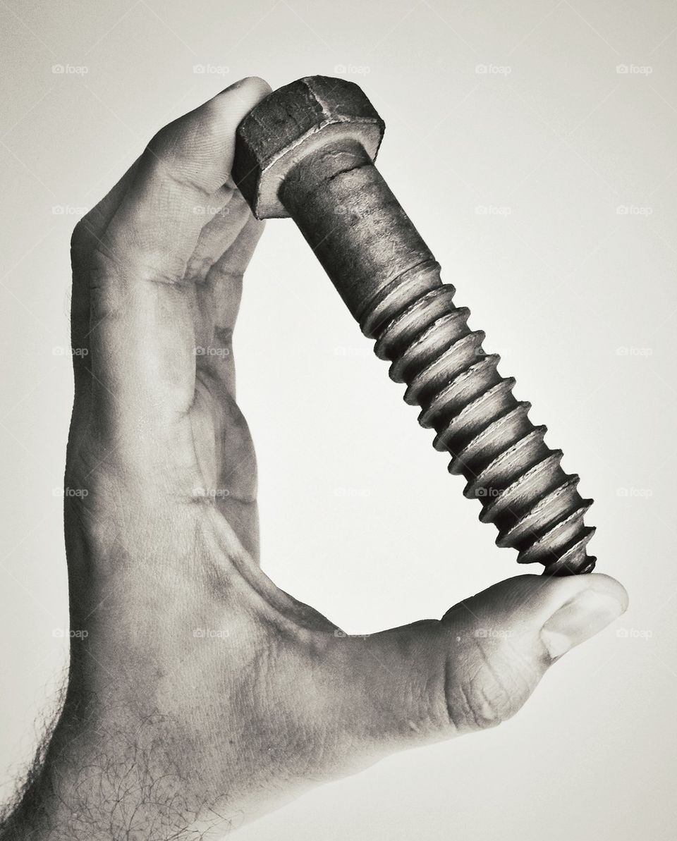 Big wood screw