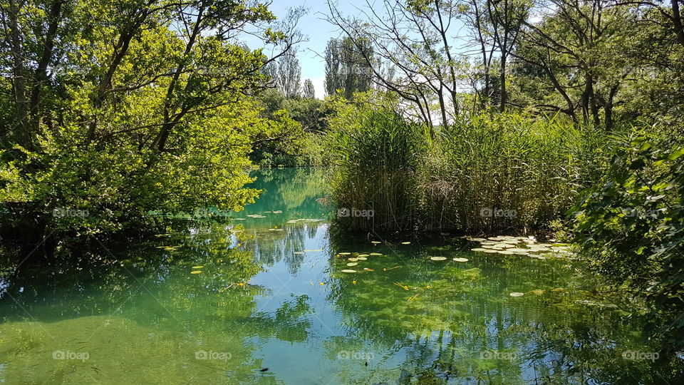 beautiful calm reflection in natural water, lush green plants and trees around brook in Croatia