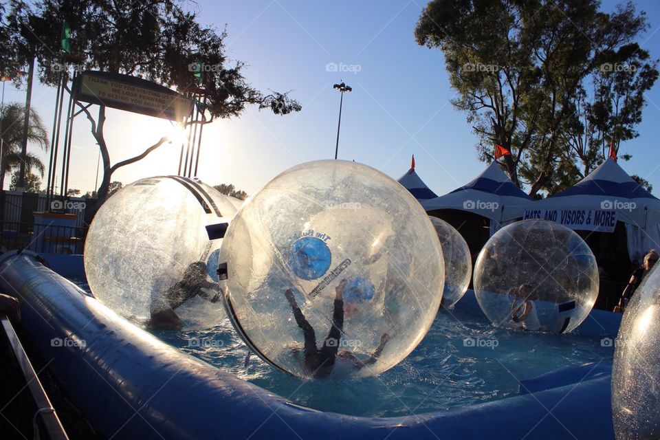 Hamster Balls in Water