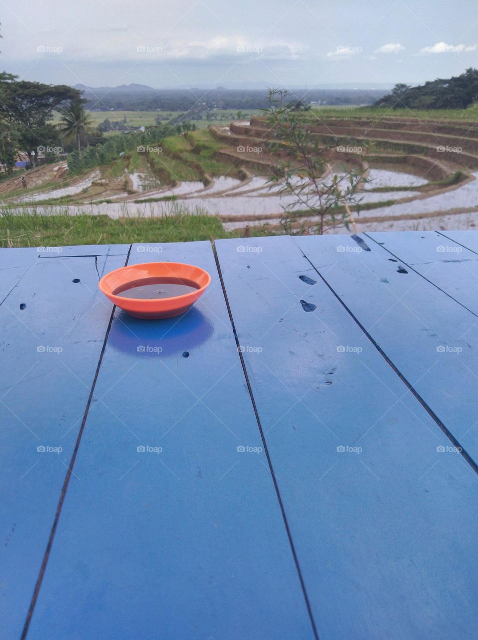 Soy sauce sauce on the table