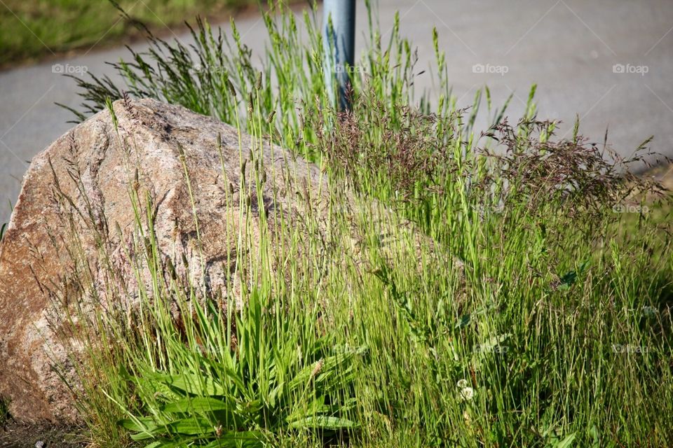 Beautiful combination 