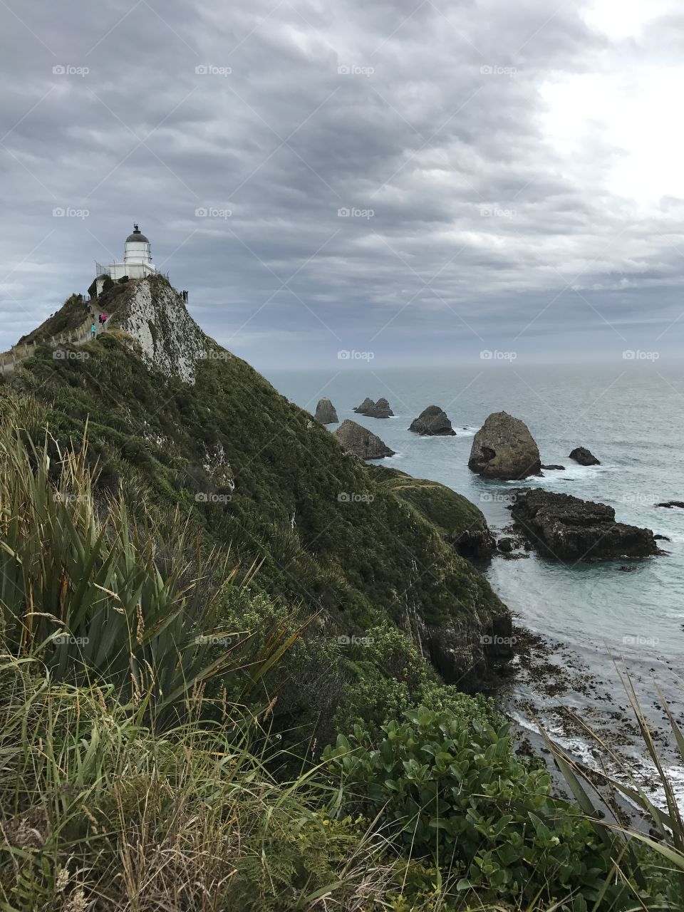 Lighthouse in New Zealand