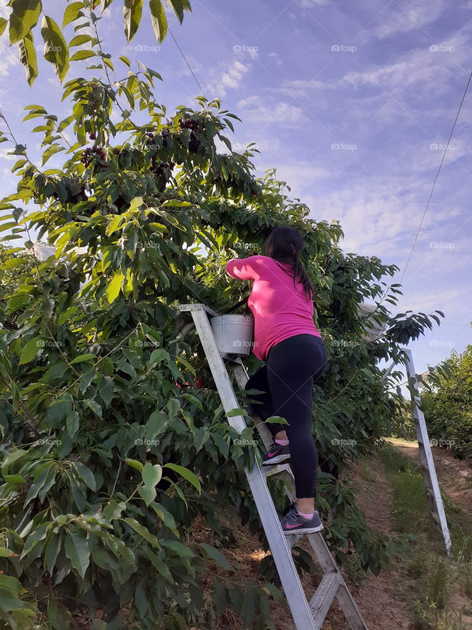 trepada en la escalera