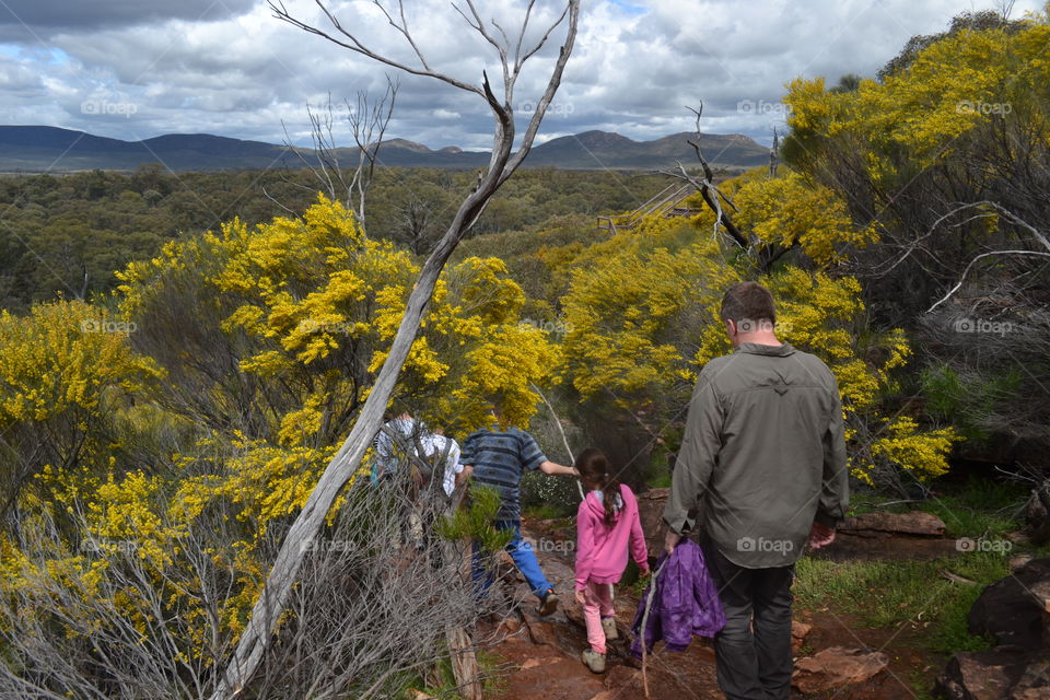 Family walking a trail downhill the Flinders Ranges South Australia  wilpena pound 