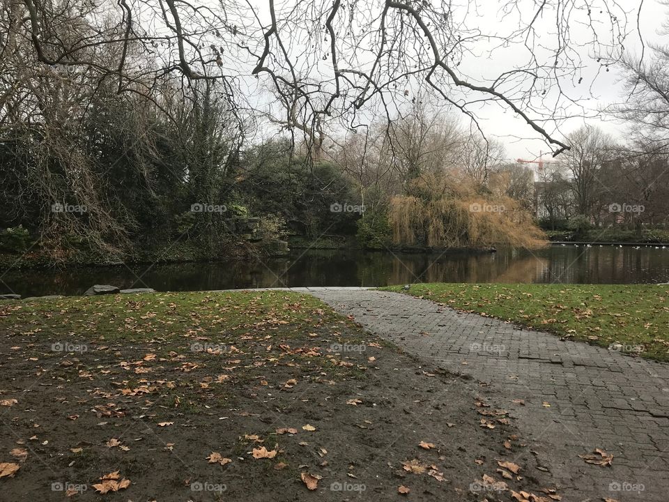 Park in Dublin 