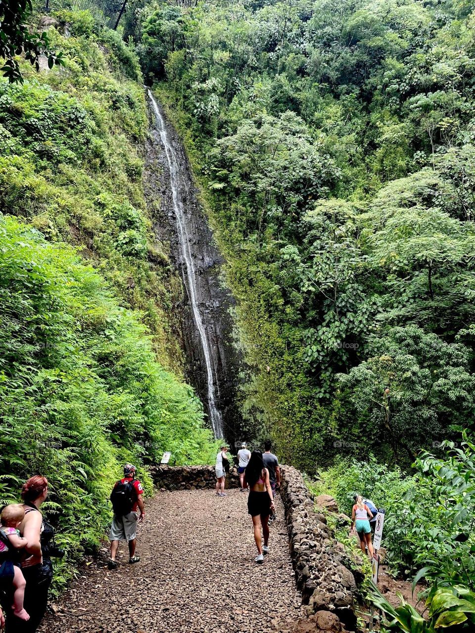 People walking to the Manoa water falls after hike