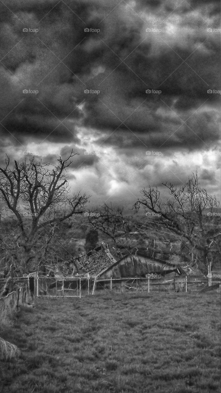 Cherry Valley California