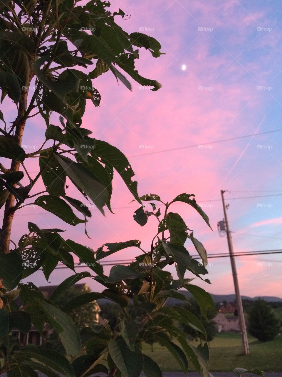 Pink sky moon
