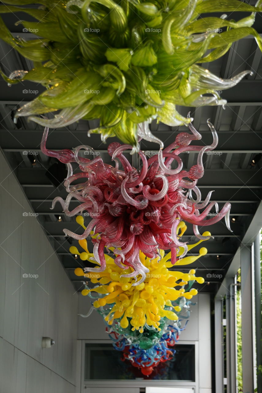 Chihuly