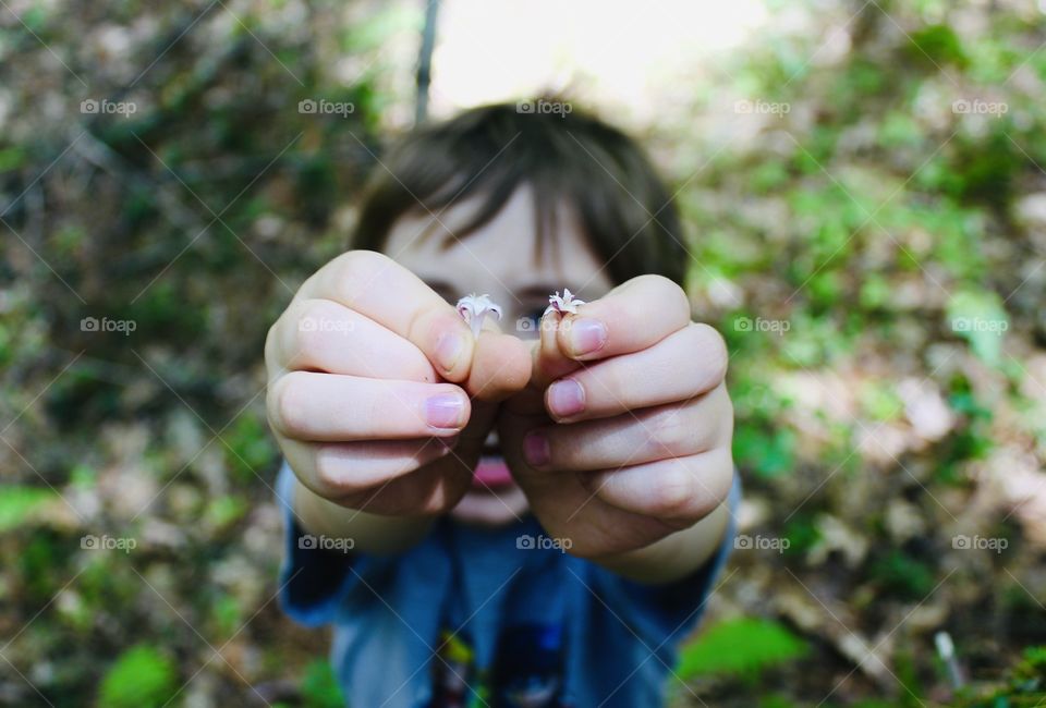 Boy handing two wildflowers in Merlin Oregon USA