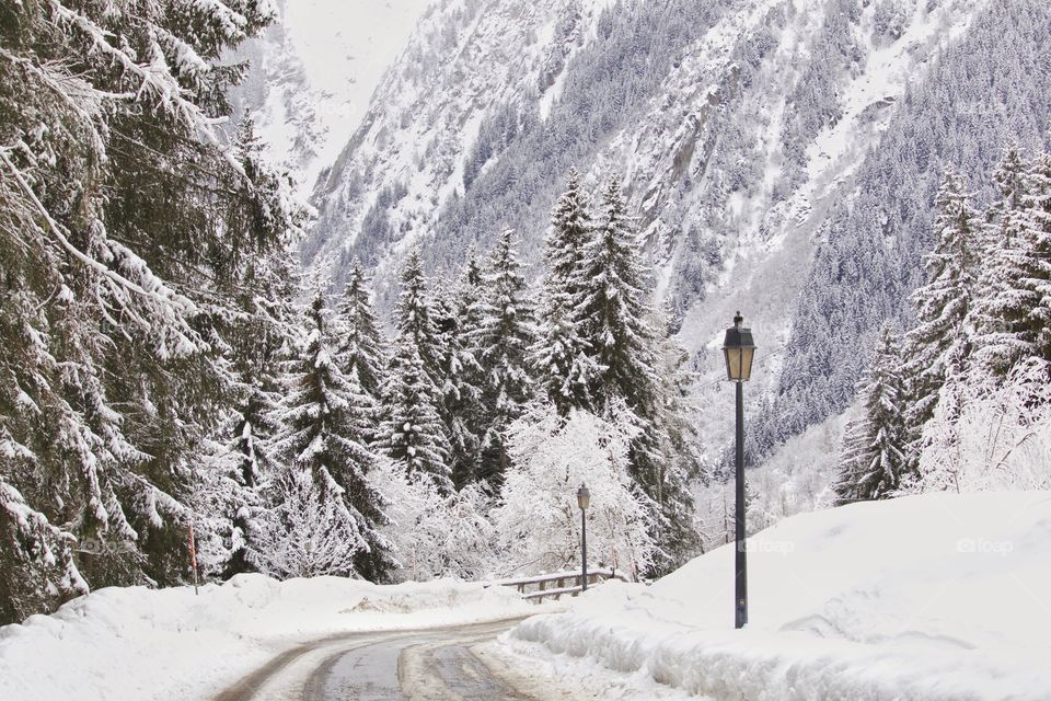 View of a street during winter