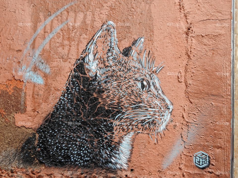 Cat painting on a wall