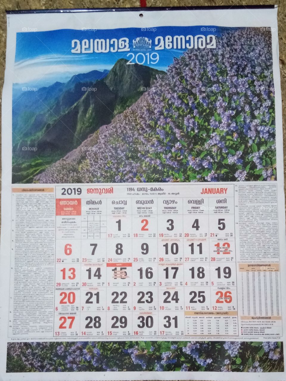 Calandar with Picture of Neelakurinji at Munnar