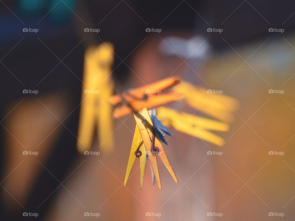 Blur, No Person, Outdoors, Wood, Still Life