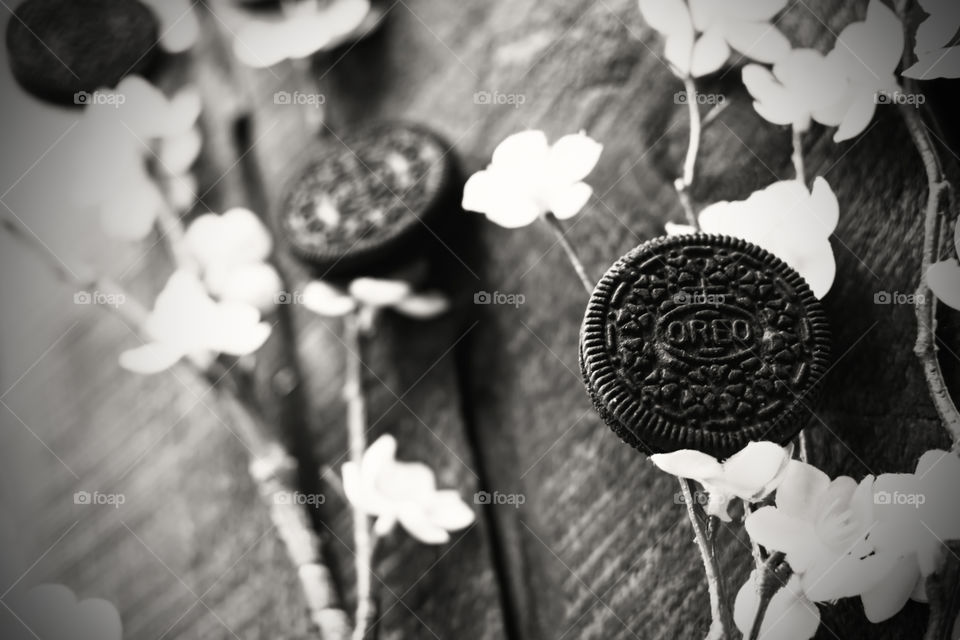 Oreo bouquet Spring cherry blossom conceptual Oreo cookie art photography 