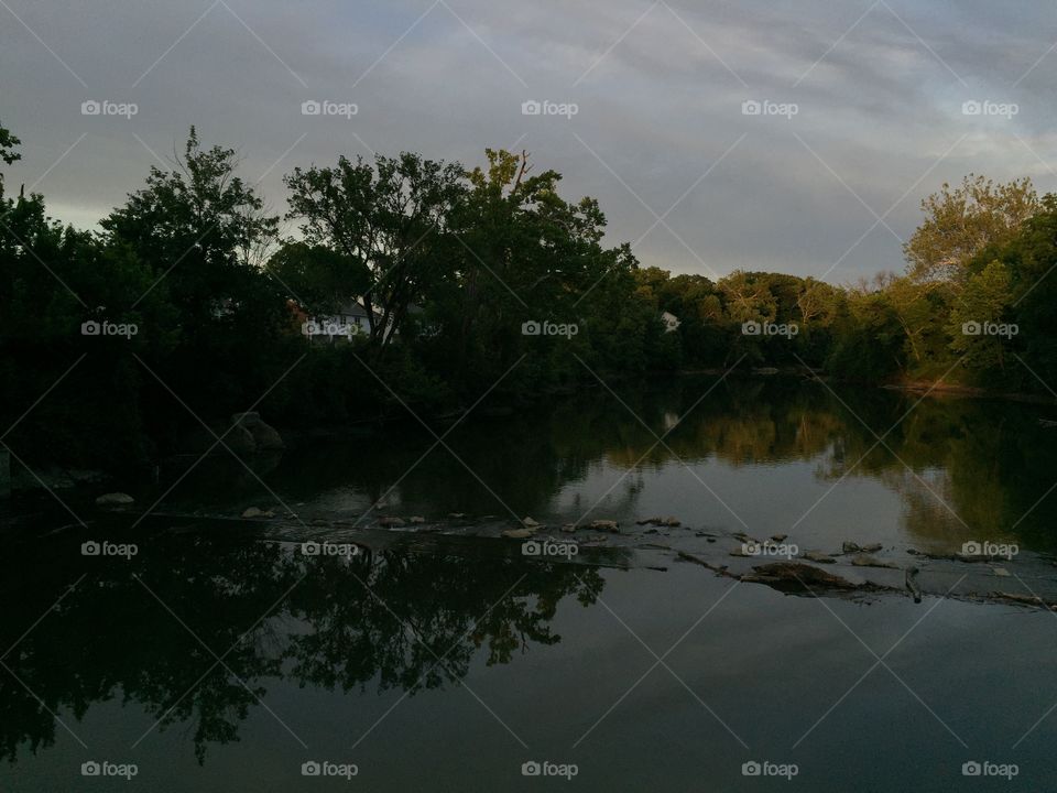 Trees reflected in river at dusk
