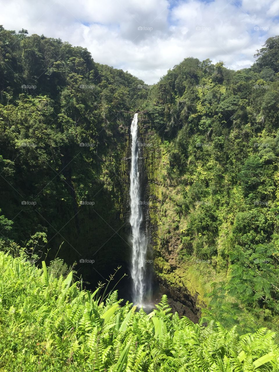 Waterfall Hawaii 
