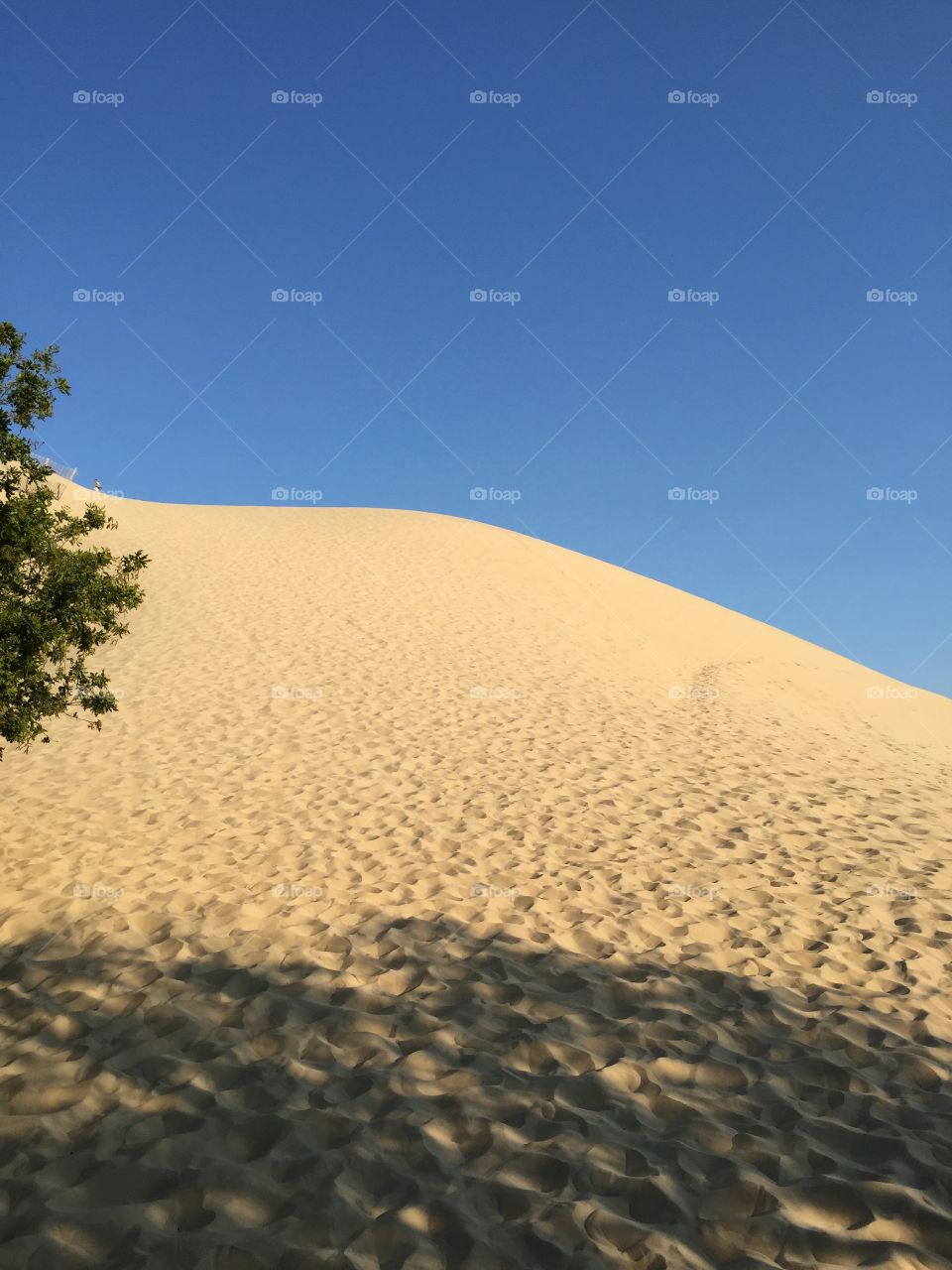 Sur la dune du pila 