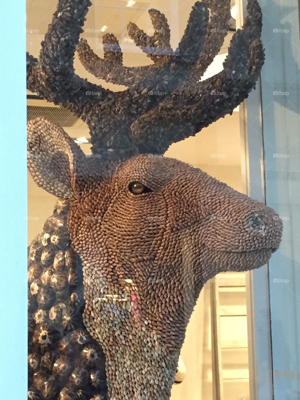 Fabulous life sized reindeer in store window in Bath - Autumn 2015