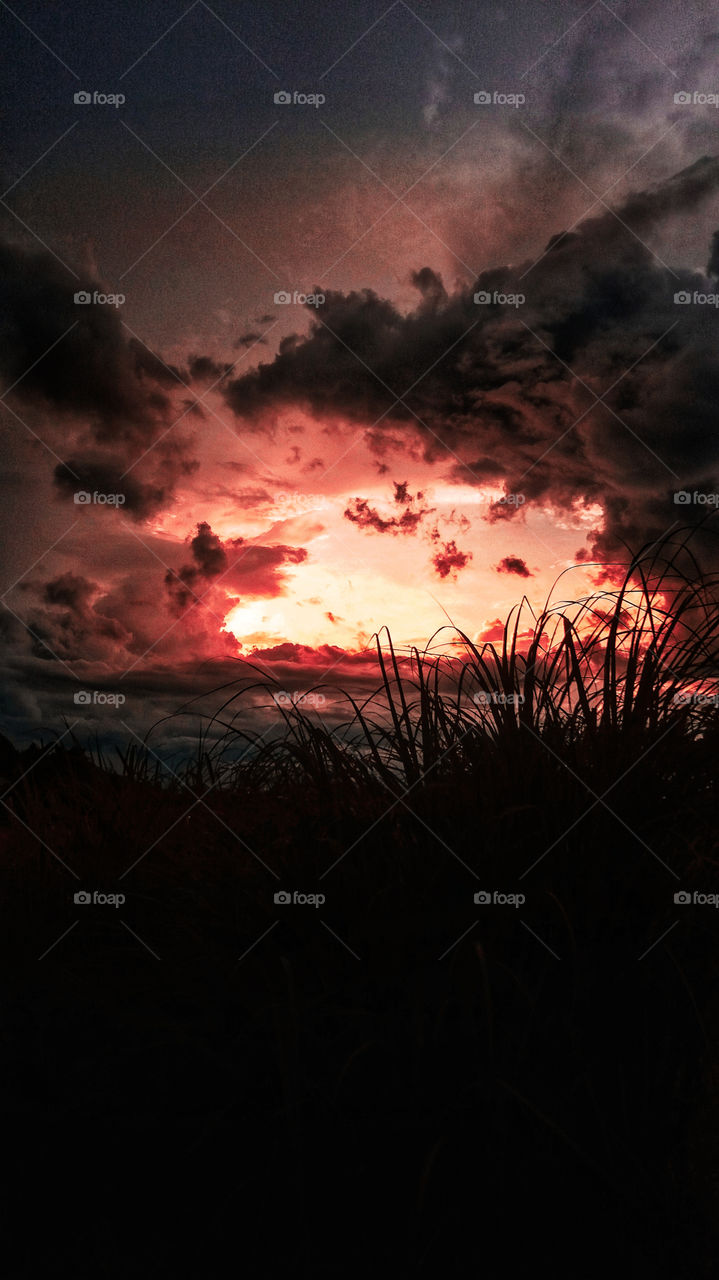 sunset love @regentures