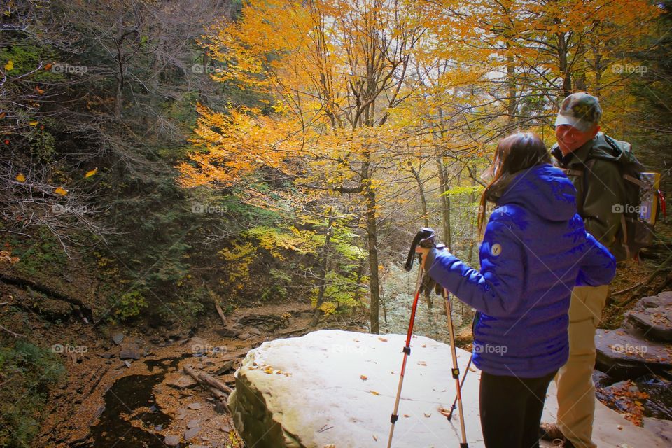 Fall scenery