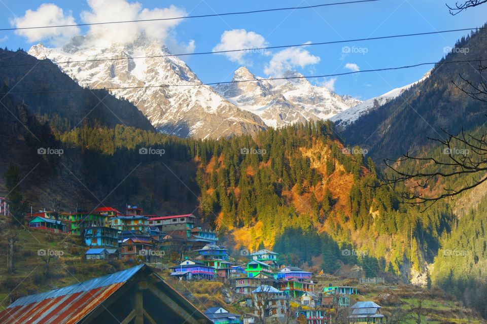 Tosh, Himachal Pradesh -
Tosh village is in Himachal Pradesh state of India. It is located at about 2,400 metres ( 7,900 ft) in elevation on a hill near Kasol in the Parvati Valley.