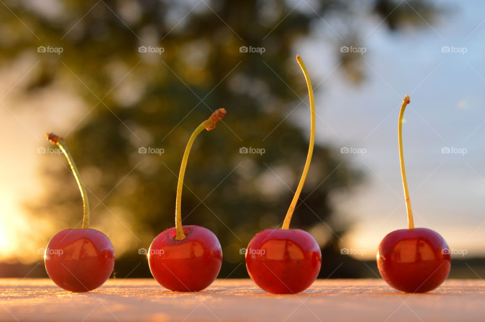 cherry in macro