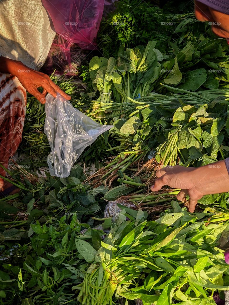 Shopping Vegetables on Market