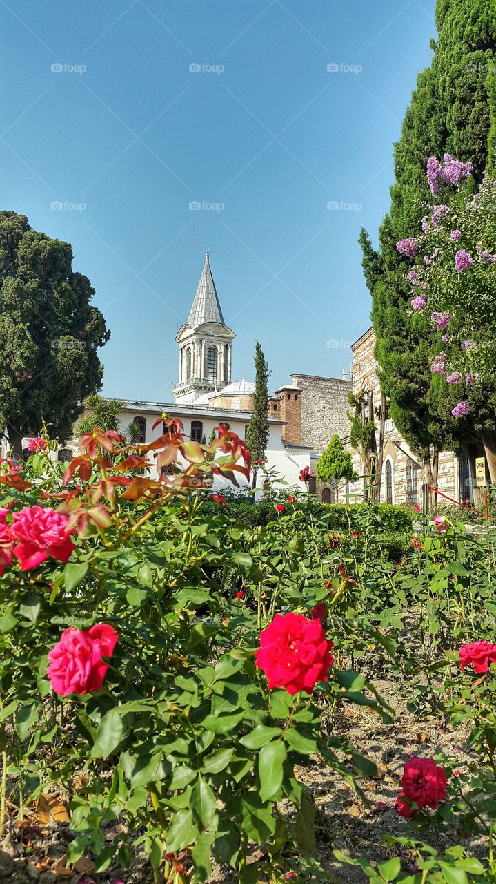 aya sofia, istambul. temple dome of aya sofia in istambul,  turkey