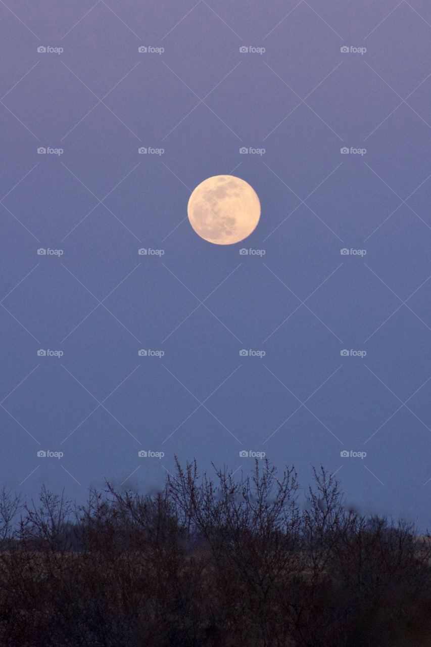 Full moon rising in a deep blue evening sky 