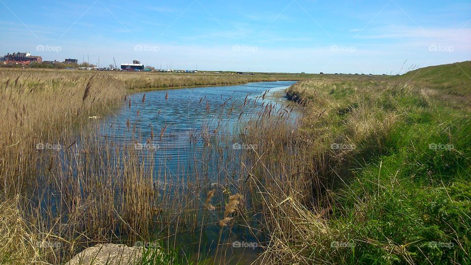 Aldeburgh marsh . a beautiful spring day getting lost in the marsh