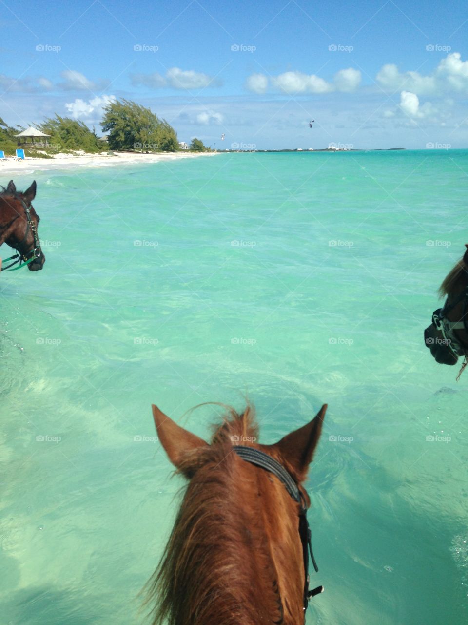Horseback Riding in Turks and Caicos