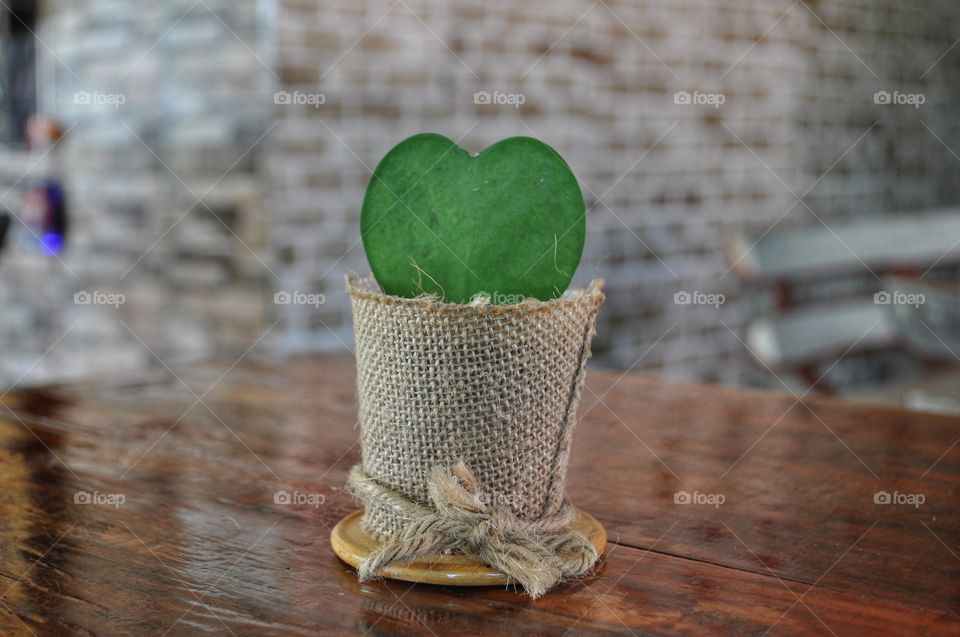 Heart-shaped small hoya cactus in sackcloth flower pot on brown wooden table