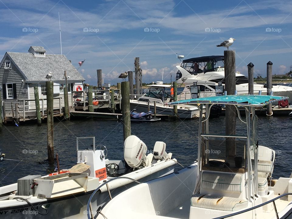 Atlantic highlands harbor 