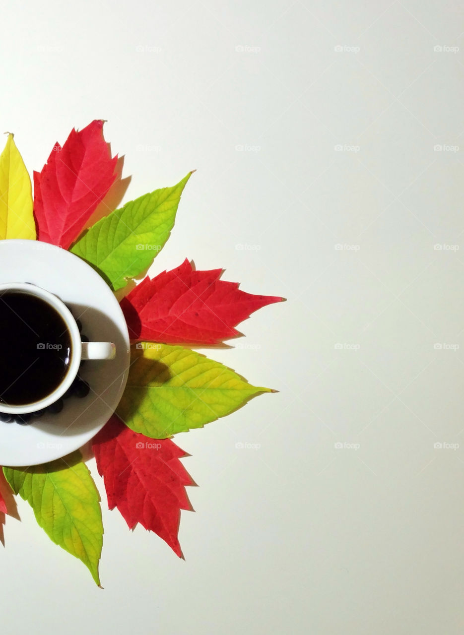 Coffee autumn