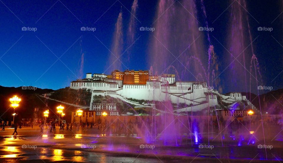 Potala palace at night 