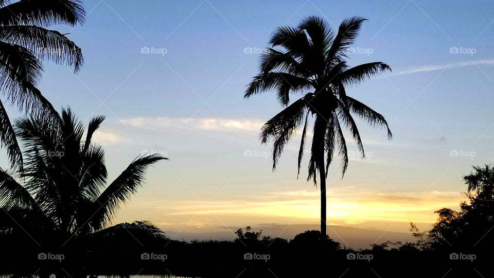 Hawaiian Sun set at Carlsmith