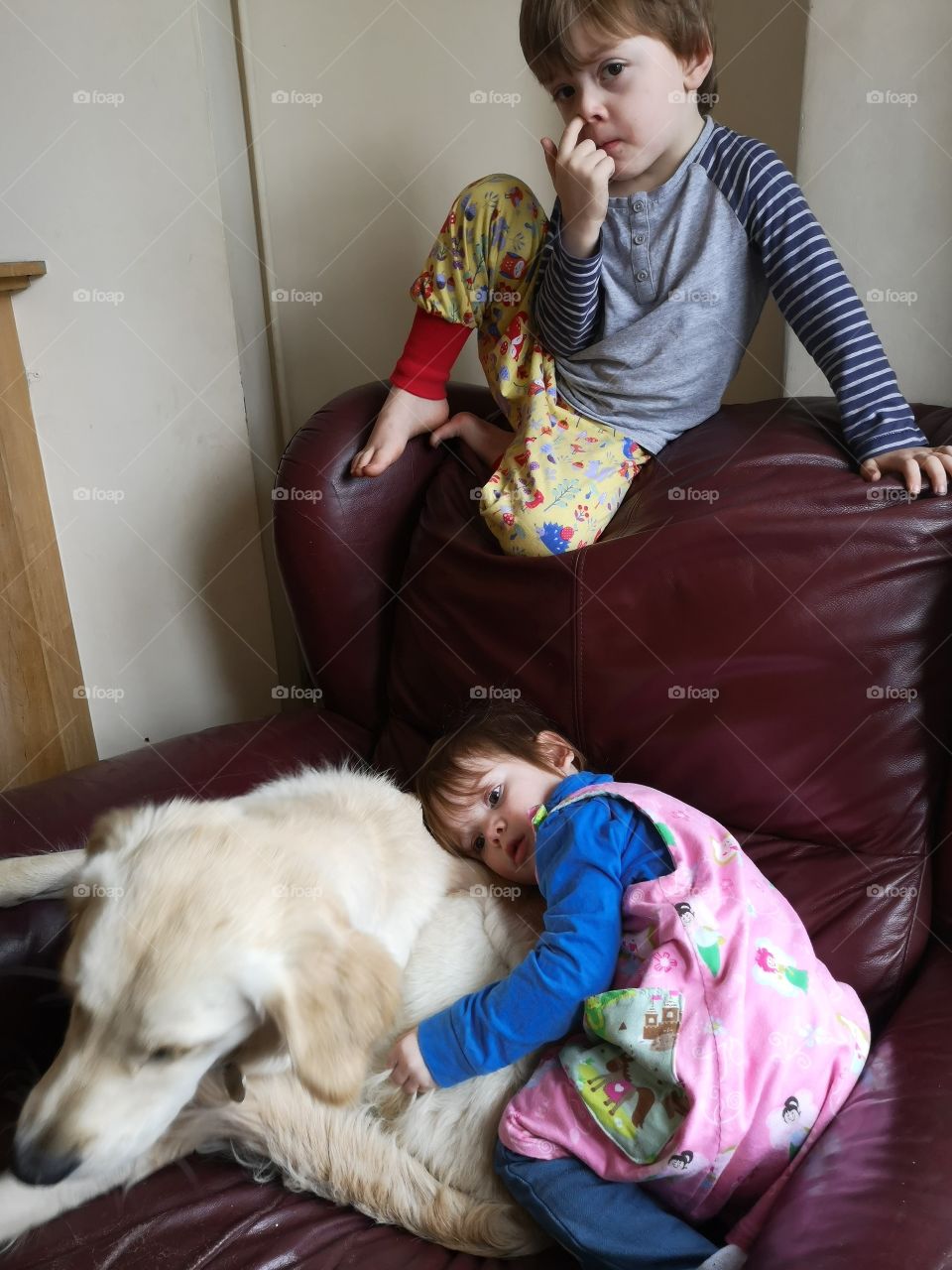 golden retriever and young children candid with a nose picker
