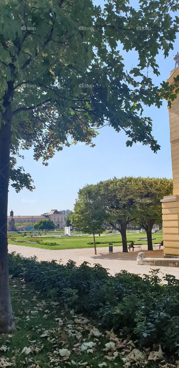 beautiful city park