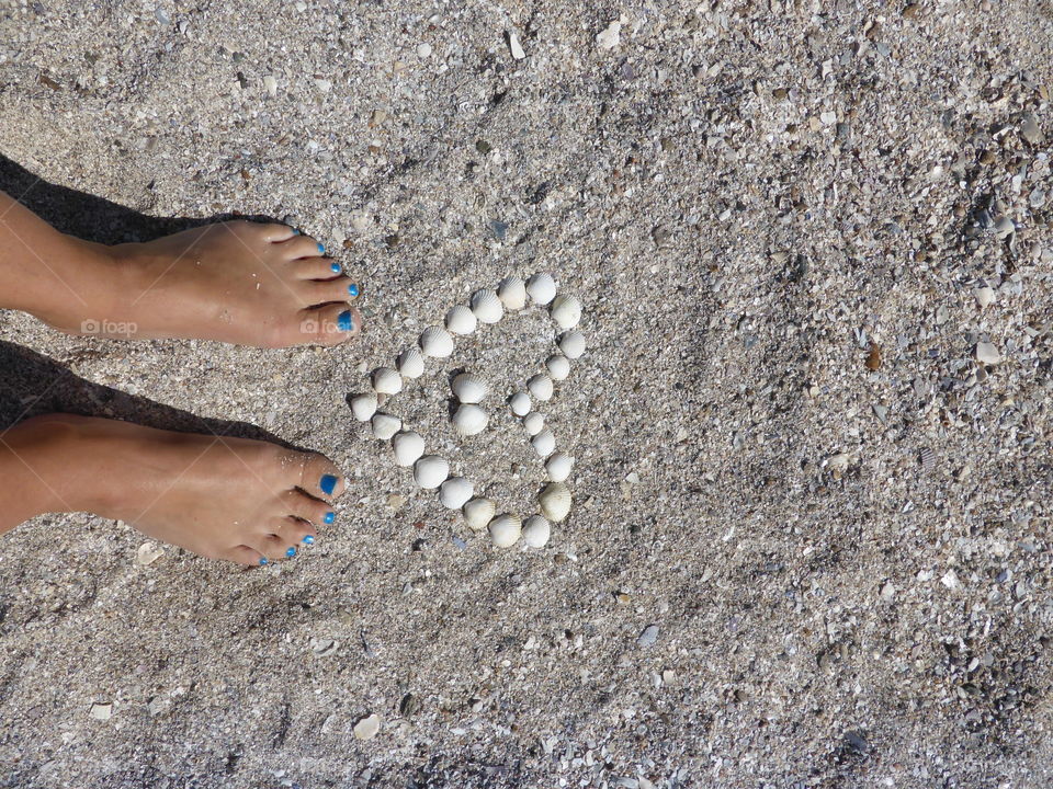 seashells heart