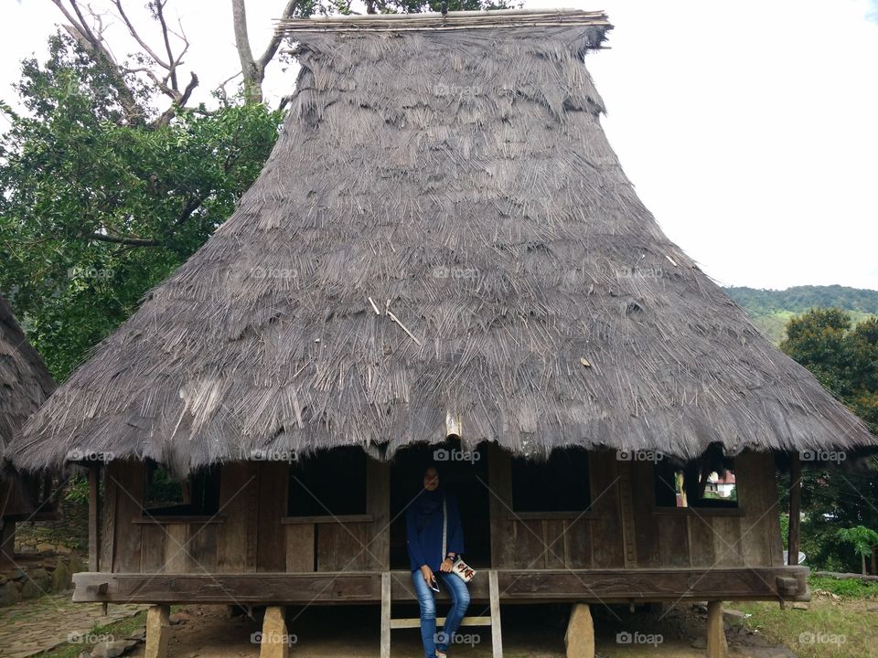 Traditional house in Wologai Traditional Village, Ende, Flores Island, Indonesia