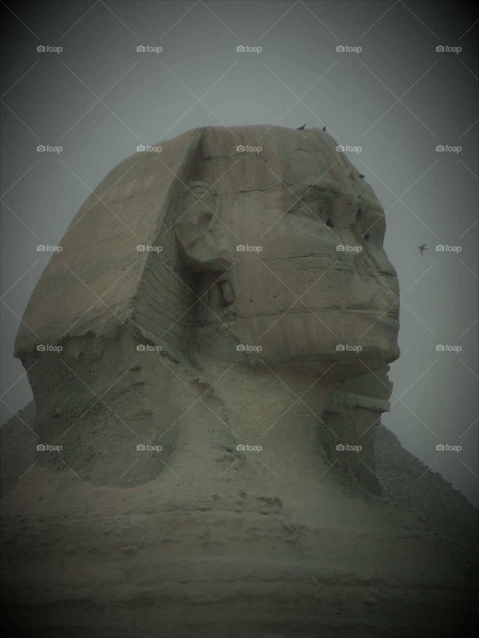 The Sphinx of Giza