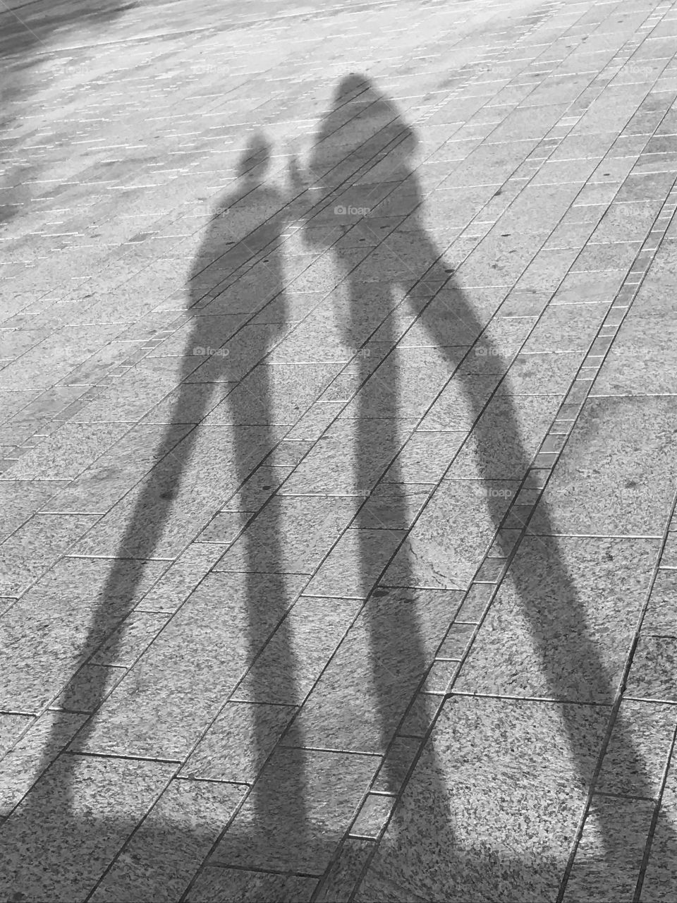 Playing with our shadows