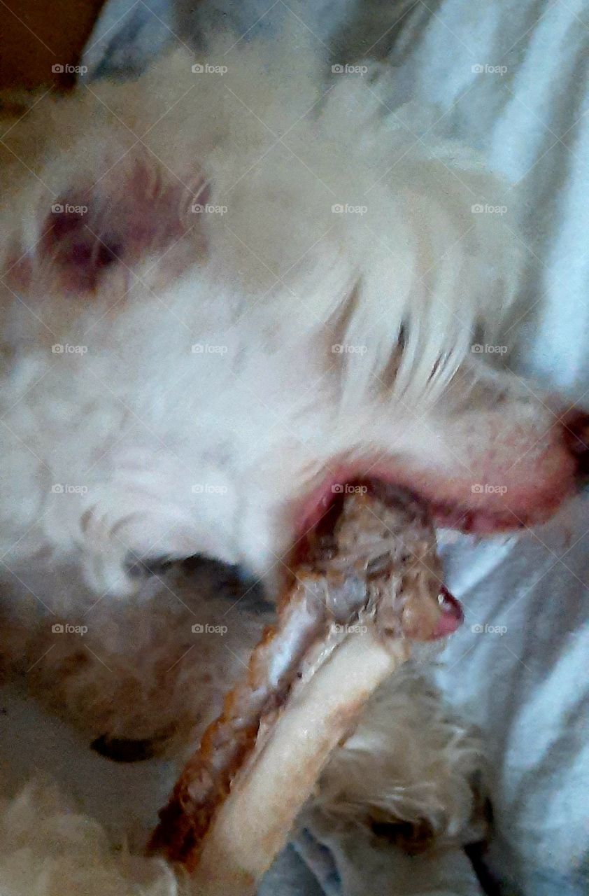 the best part of a steak dinner "breakfast"