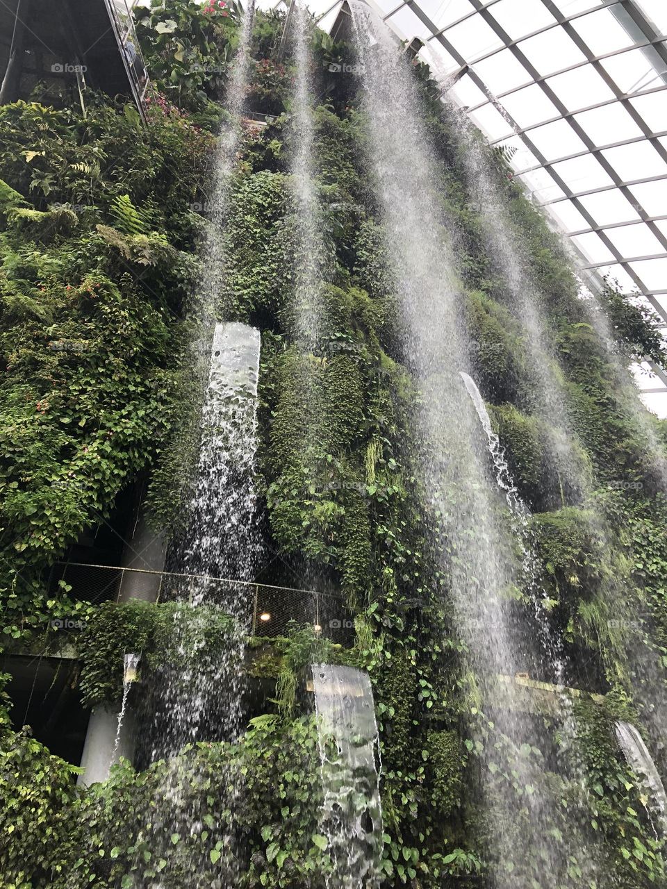 Indoors waterfall full of green