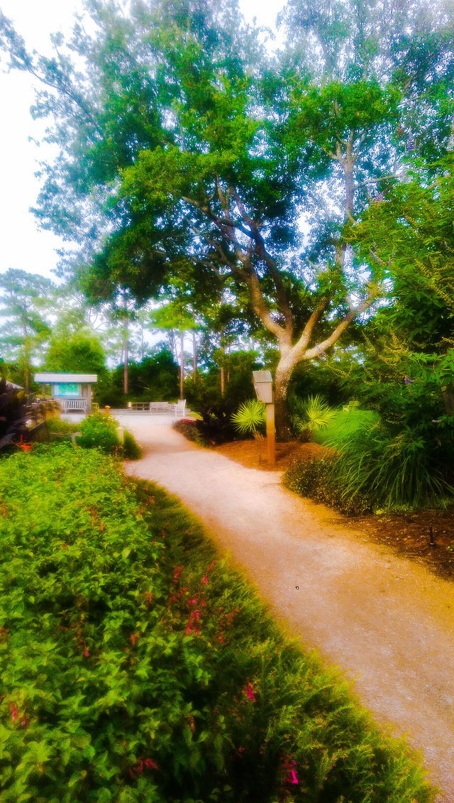 Pathway 